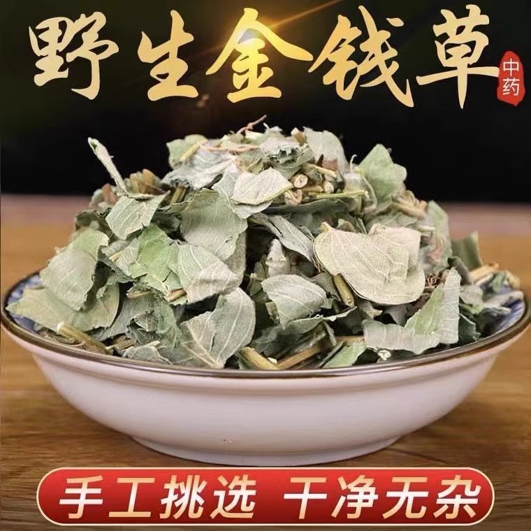 金钱草干货广西产地货源直发金钱草新货化石茶散装批发大叶金钱草