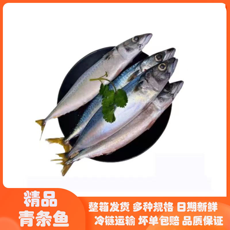 新鲜海捕青条鱼青占鱼青花鱼整箱20斤发货鲐鲅鱼饭店食堂商用