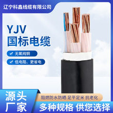 国标铜芯铠装YJV22电缆线2 3 4 5芯10 16 25 35 50平方低压电缆