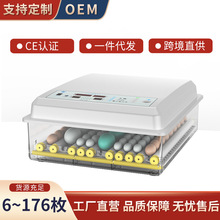 外贸鸡鸭鹅孵蛋器鸽子孵化器自动小型家禽家用全自动迷你孵化机