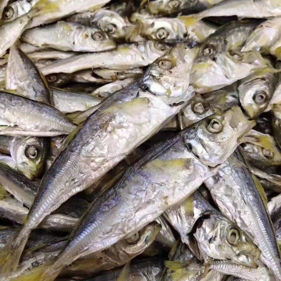 福建东山岛 黄尾巴浪鱼干 海鱼干 干货 海鲜冷冻水产 食用农产品