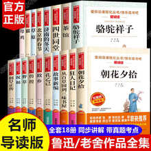 全套18册鲁迅经典作品全集原著正版 老舍散文集精选作品 朝花夕拾