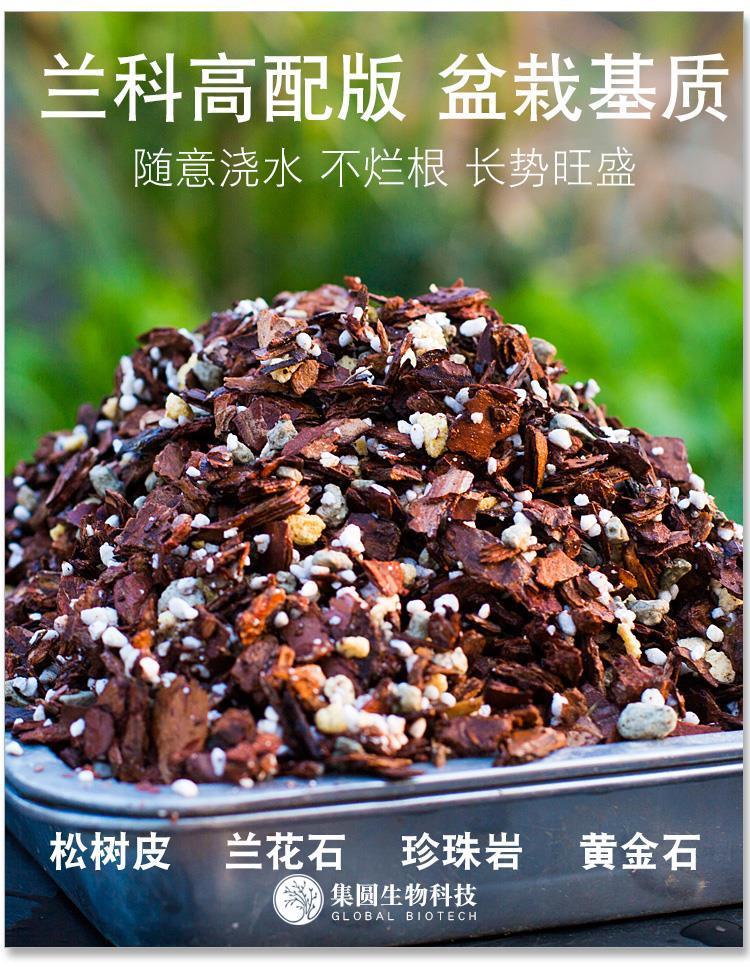尊贵版兰花专用土疏松透气君子兰铁皮石斛蝴蝶兰松树皮营大量批发