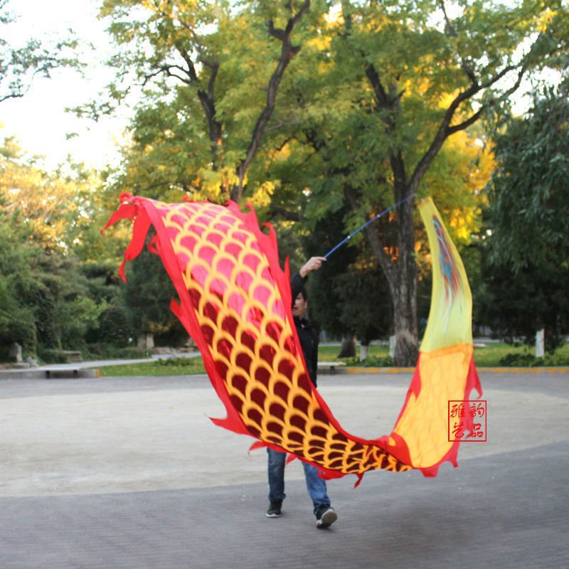 舞龙彩带健身甩龙飘带龙单人手甩带杆彩龙初学成人中老年烫金手甩