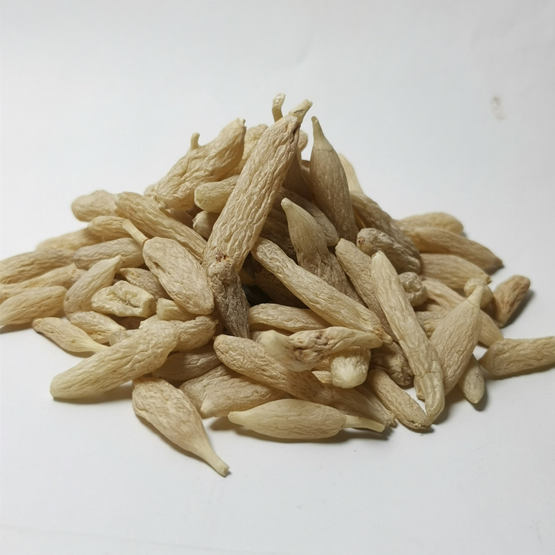 00元3612斤可售立即订购加入进货单买家服务支付方式麦冬百合科沿阶草