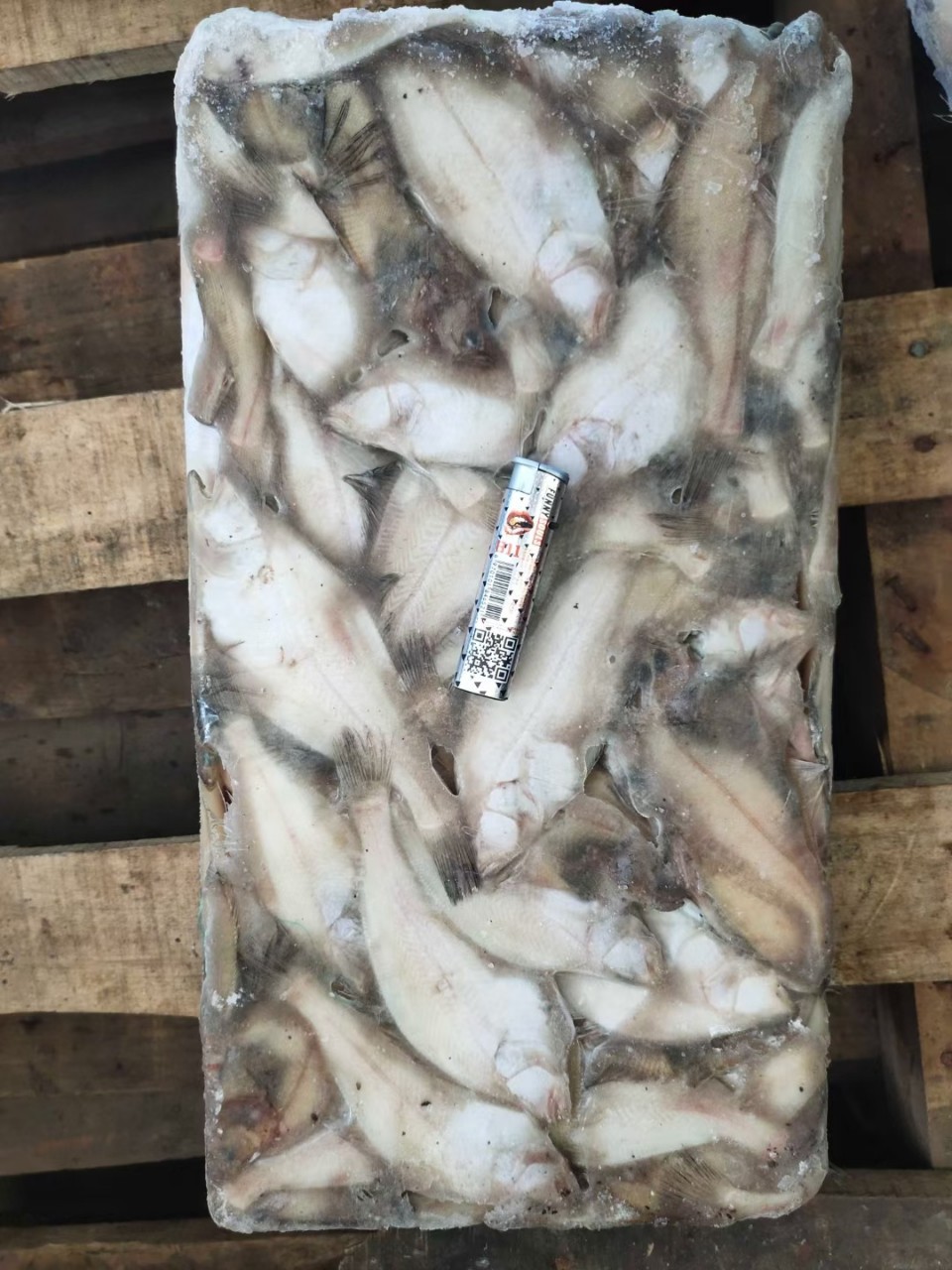 批发本地冷冻小偏口鱼食堂自助快餐社区团购