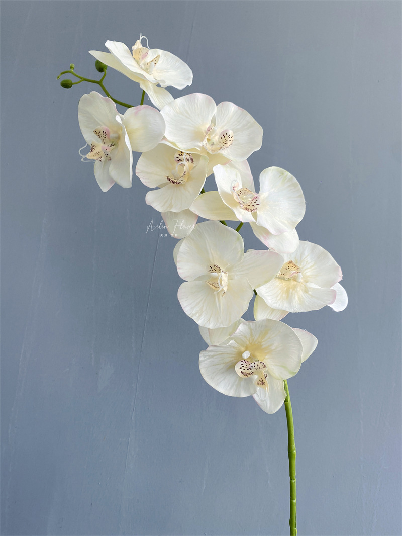 仿真蝴蝶兰 8头秋色雪花布婚庆唯美婚礼堂装饰绢花兰花蕙兰外贸