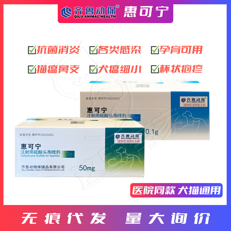 齐鲁动保惠可宁犬猫呼吸道感染肠胃炎产后消炎硫酸头孢喹肟注射液
