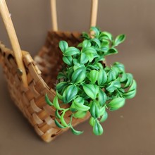 仿真植物豆苗豆芽 跨境货源北欧ins家居样板间酒店景观装饰把束草