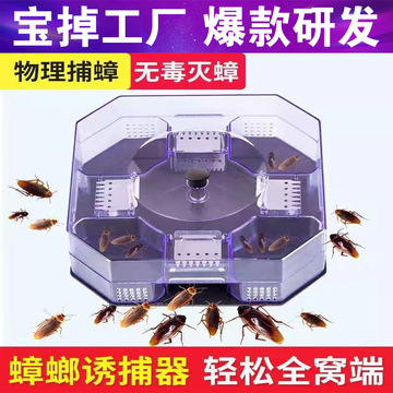 家用无毒驱抓贴粘除灭蟑螂神器一窝端蟑螂诱捕效蟑螂药厂家批发