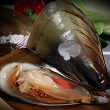 批发活冻带壳半壳带子绿贝扇贝半壳江瑶贝冷冻海鲜自助餐烧烤食材