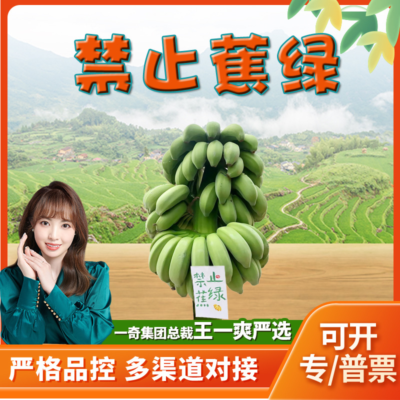 【活动】禁止蕉绿广西小米蕉网 带杆贺卡4-6斤观赏盆栽新鲜水果