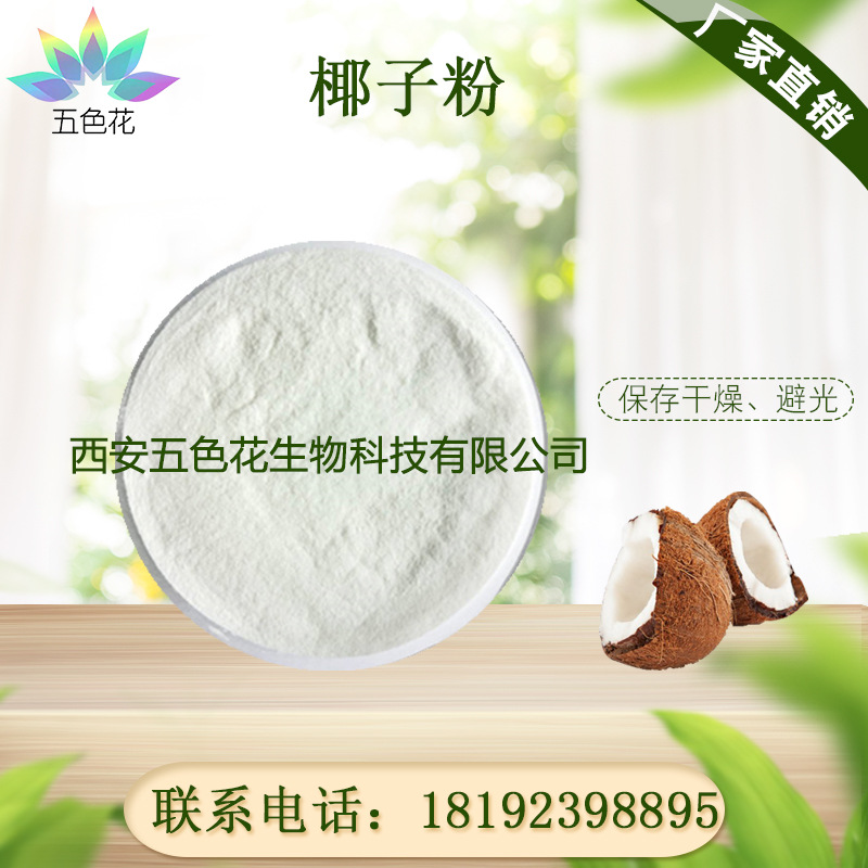 椰子粉 99% 椰子果粉 99% 椰子提取物 椰子粉冻干粉