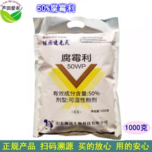 1kg 绿园速兑灵50%腐霉利腐霉俐杀菌剂腐酶利黄瓜灰霉病杀菌剂