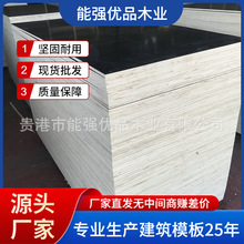 广东厂家供应平面异型木桥梁工地施工组合木模板