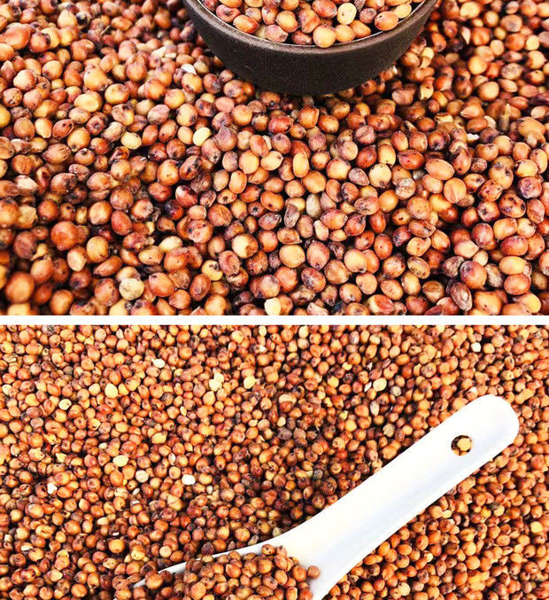 东北带皮红高粱酿酒酿醋喂鸽子鸟食饲料带箱10斤鸽子用品大全批发