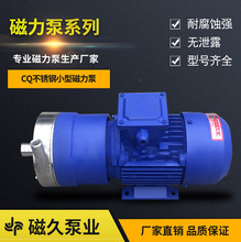 CQ磁力泵不锈钢小型磁力泵安装方便耐腐蚀无泄漏插管式CQ型磁力泵