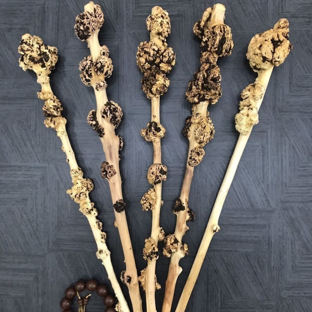 云南黑果木把玩棍手把件背锤木手杖拐杖木按摩健身背锤天然树瘤跨