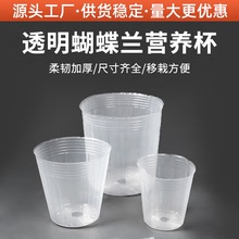 5寸蝴蝶兰营养杯塑料软花盆防尘盖加厚营养钵袋石斛兰透明育苗杯