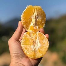 江西赣南脐橙产地直发时令新鲜水果无籽果冻橙子顺丰工厂一件批发