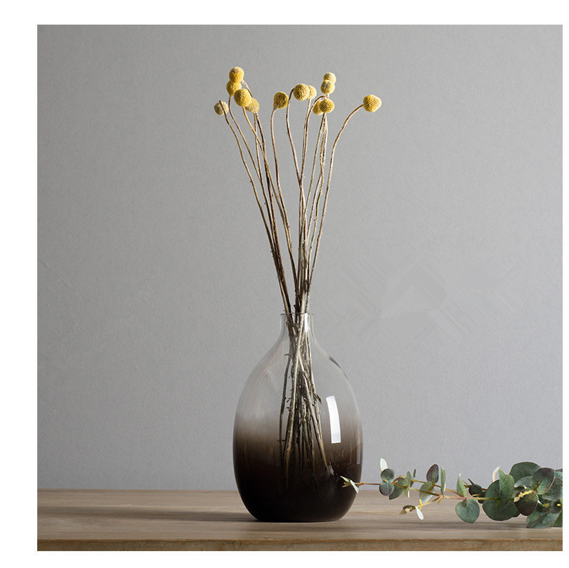 New Hand-Blown Big Belly Glass Vase Glass Light Color Gradient Transparent Hydroponic Creative Narrow Mouth Plug