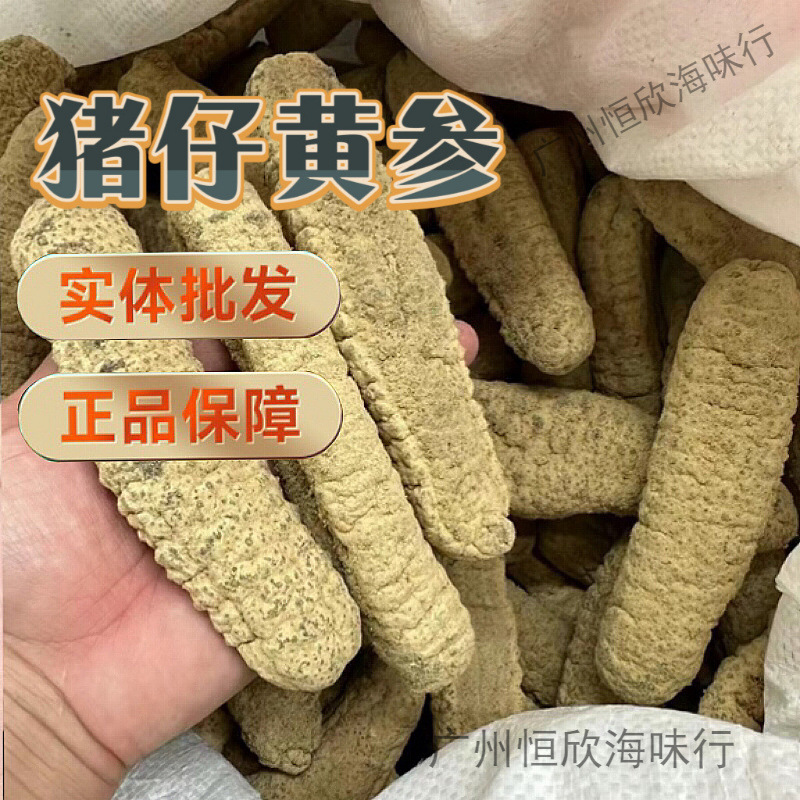 猪仔黄参干货3-5头澳洲淡干猪子王批发足干大黄肉海参厚肉黄玉参