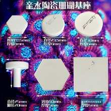 珊瑚繁殖基座造景纽扣断肢T型托盘sps水珊瑚陶瓷底座六边形培育