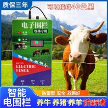 电子围栏主机全套太阳能电围栏养牛养羊防野猪畜牧养殖电网