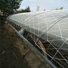 尼龙防护网 大孔压膜绳网挡风大棚网货物种植养殖大棚防风网