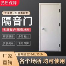 定作高档防火隔音门房门卧室ktv专用包箱钢制静音直播间厂家直销