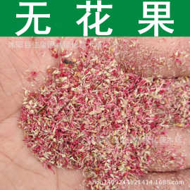 林木种子 无花果种子 盆栽花卉 隐花果种子 1件=1斤