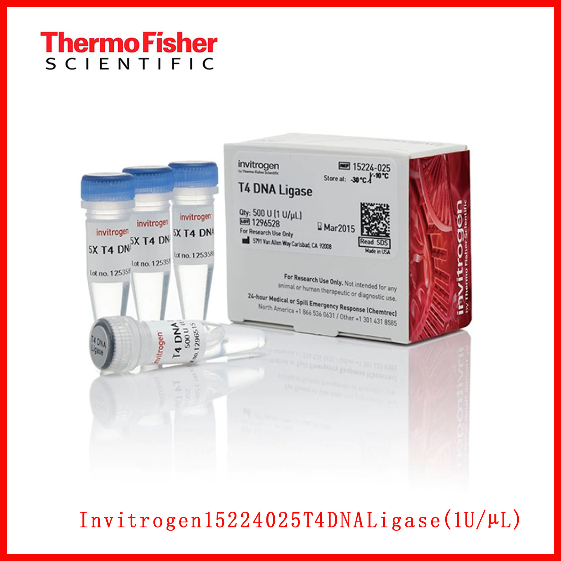 15224-025t4 dna ligase (1 u/?l),500units