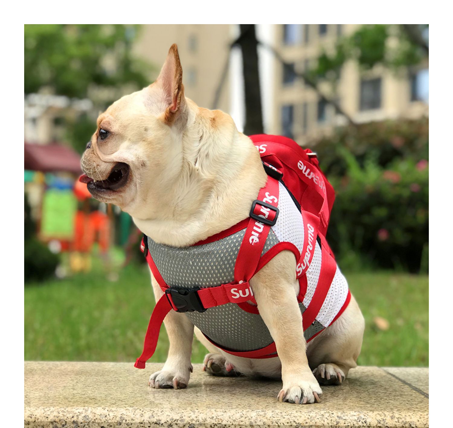 宠物潮牌狗狗背包外出双肩自背包泰迪法斗金毛雪纳瑞off牵引书包