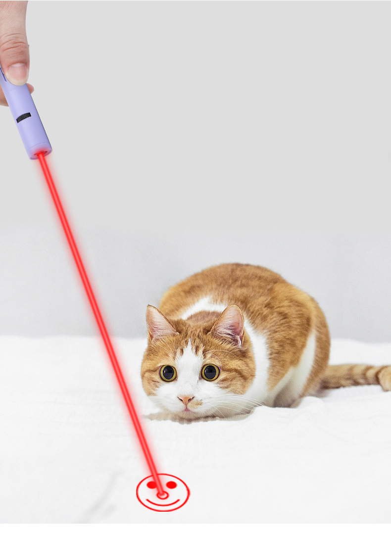 新款卡通激光逗猫棒羽毛usb带线多功能照明紫光红外线猫玩具批发