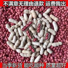 23年红皮花生带壳花生米批发零食小吃生花生新鲜种子熟花生下酒菜