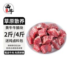 黄牛牛腩块2斤/4斤原散养新鲜生牛肉冷冻红烧食材批发一件代发