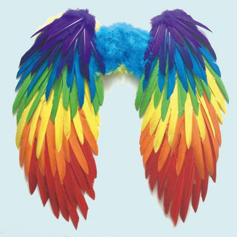 彩色天使翅膀羽毛制品拍摄舞台道具圣诞节cosplay万圣节可定制