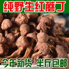 红蘑丁红松伞肉蘑东北特产红菇精品烘干蘑菇片自然晾晒干货新鲜货