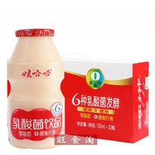 娃哈哈乳酸菌饮品100ml*32瓶饮料整箱批发