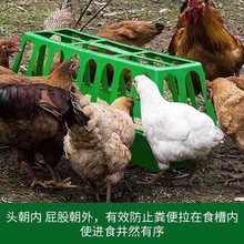 喂鸡食槽鸭鹅料槽防撒打不翻喂鸡神器喂水槽自动喂饲料桶养鸡设备