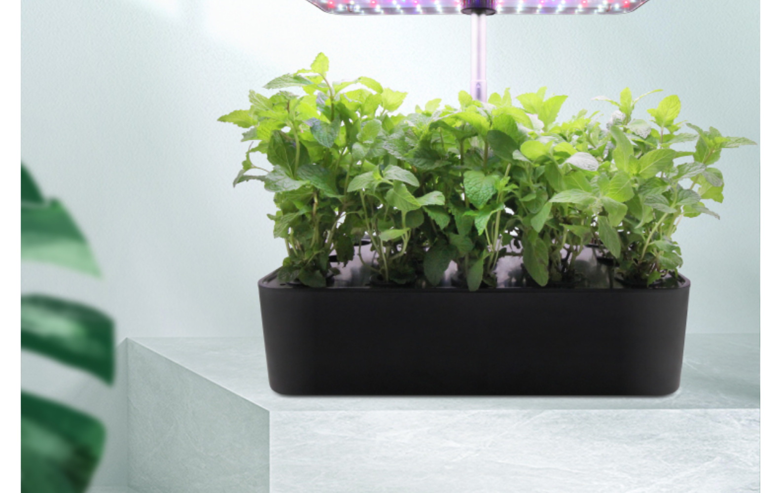 厂家直供 水培种植机 室内家庭智能种植机 智能种植