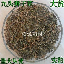 中药材 九子连环草500克 肉连环 一串钮子 九节虫 棕儿羊_阿里巴巴找
