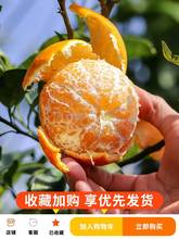 广西武鸣沃柑10斤新鲜橘子水果当季整箱包邮皇帝贡柑砂糖桔子