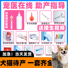 猫咪生产用品全套待产包宠物狗狗接生工具包母猫备产产房吸羊水器