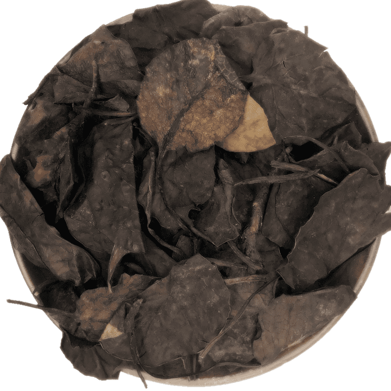 鹿衔草500克中药材鹿含草鹿蹄草鹿街草非野生紫背金牛草新鲜干货