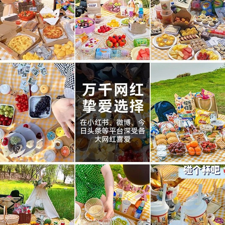 Picnic Basket Picnic Mat Thickened Outdoor Spring Outing Camping Picnic Waterproof Portable Foldable Portable Basket Picnic Cloth