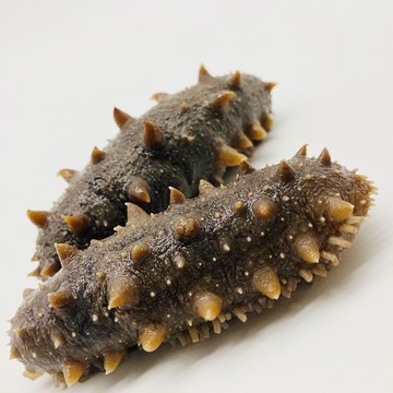 包邮干货批发大连即食海参新鲜纯野生辽参独立包装袋即食海参刺参