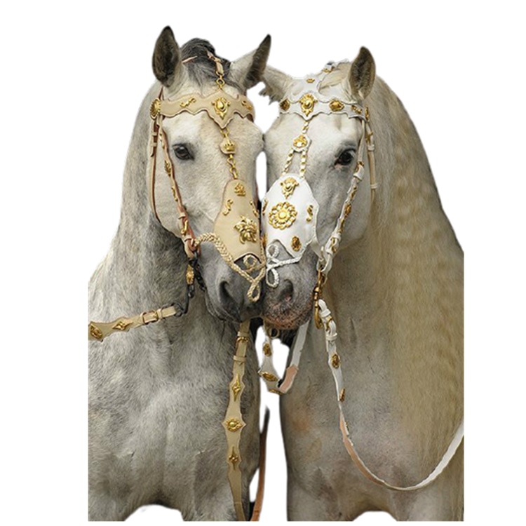 2021wish欧美马术用品马笼头 pu牵引马缰绳 金属镶嵌马头套装备