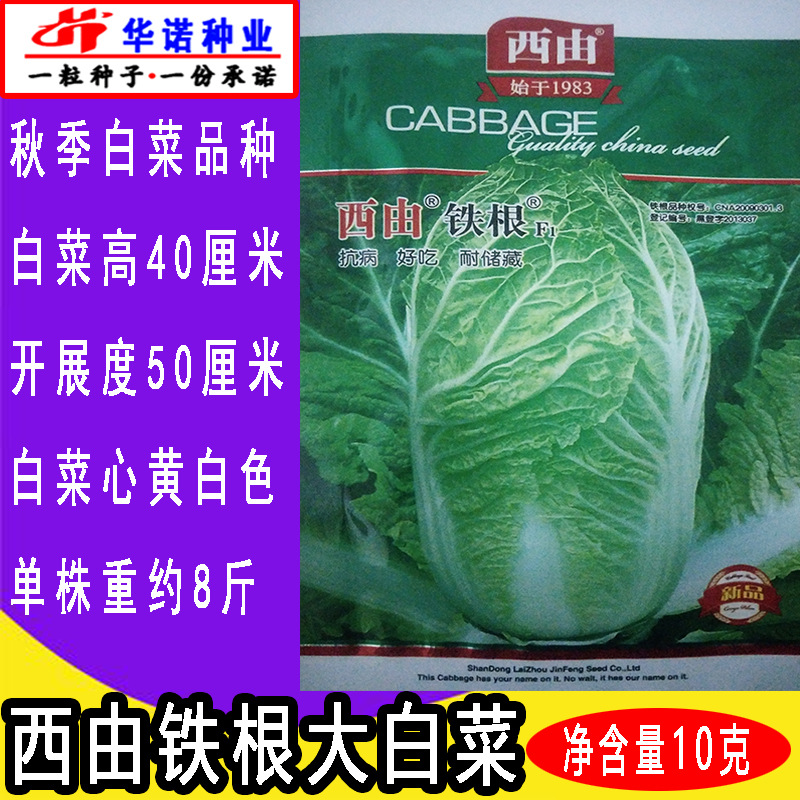 地方老品种西由铁根f1大白菜种子山东胶州白菜籽蔬菜种子秋季种植