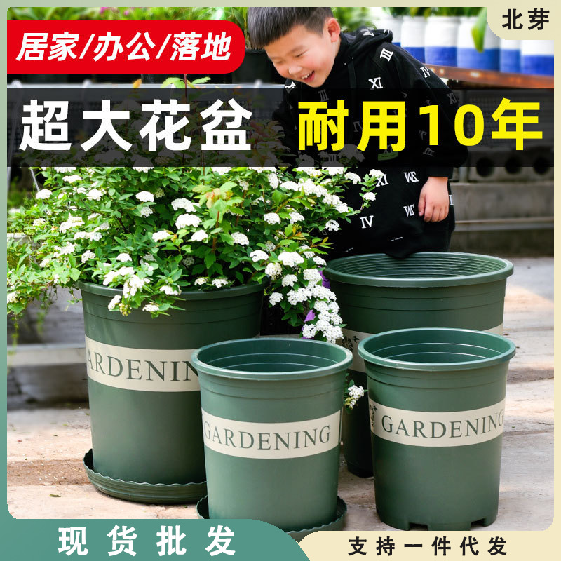 7加仑加厚加仑盆特大号塑料盆种树落地盆栽月季果树特